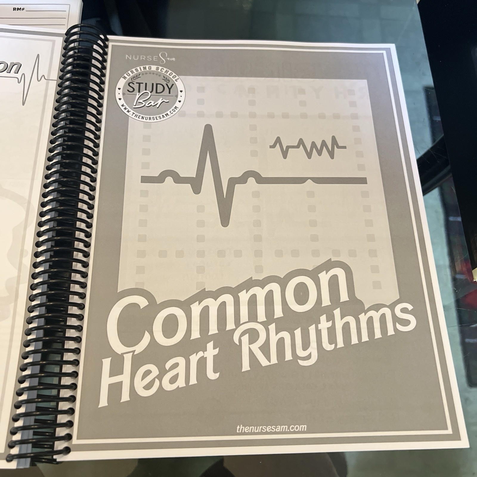 The Ultimate Nursing School Bundle 2.0 by: NurseSam