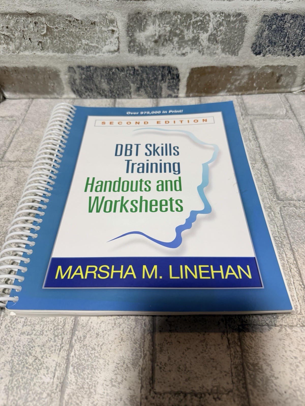DBT Skills Training Handouts and Worksheets, Second Edition – GOOD