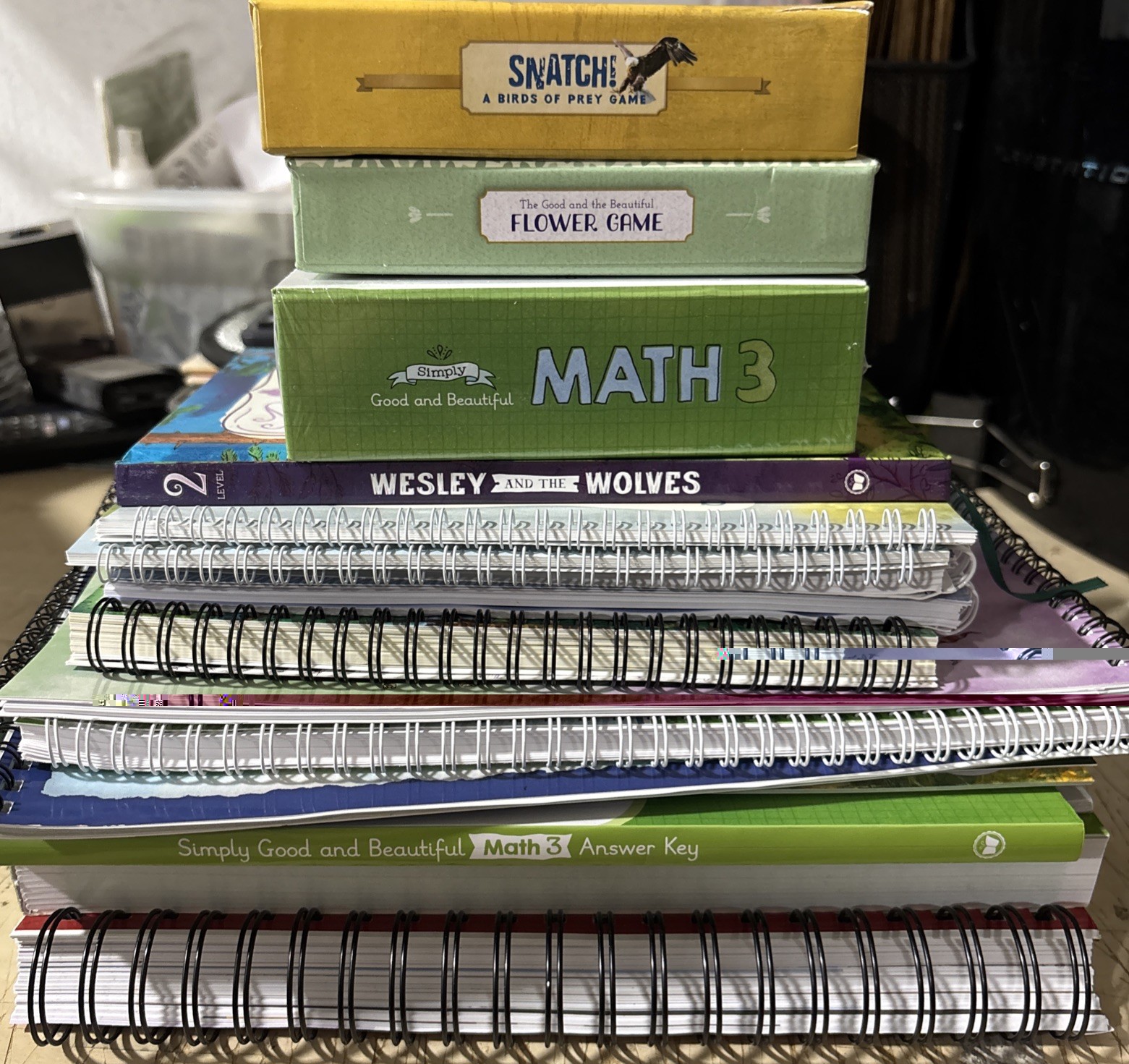 The Good and the Beautiful Curriculum Mixed Lot Of 18 Games Math Typing Writing
