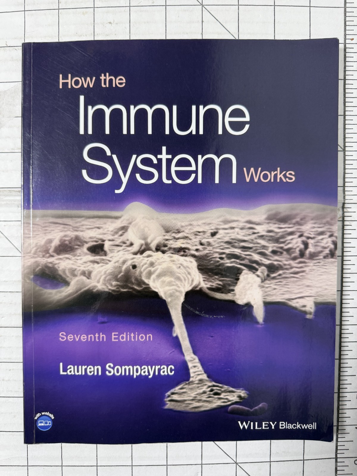 How the Immune System Works by Lauren M. Sompayrac 7th Edition 2023, TPB