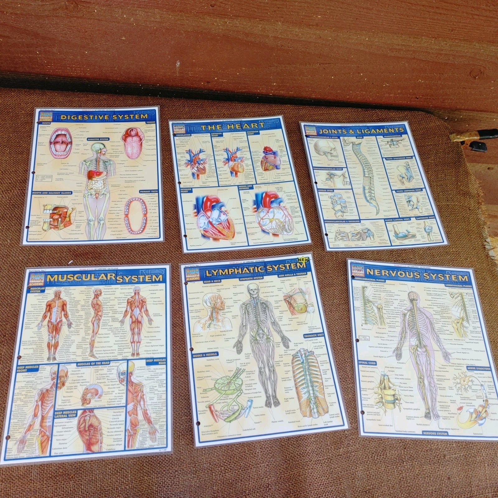 Lot Of 84 QUICK STUDY ACADEMIC & HEALTH Guides!!