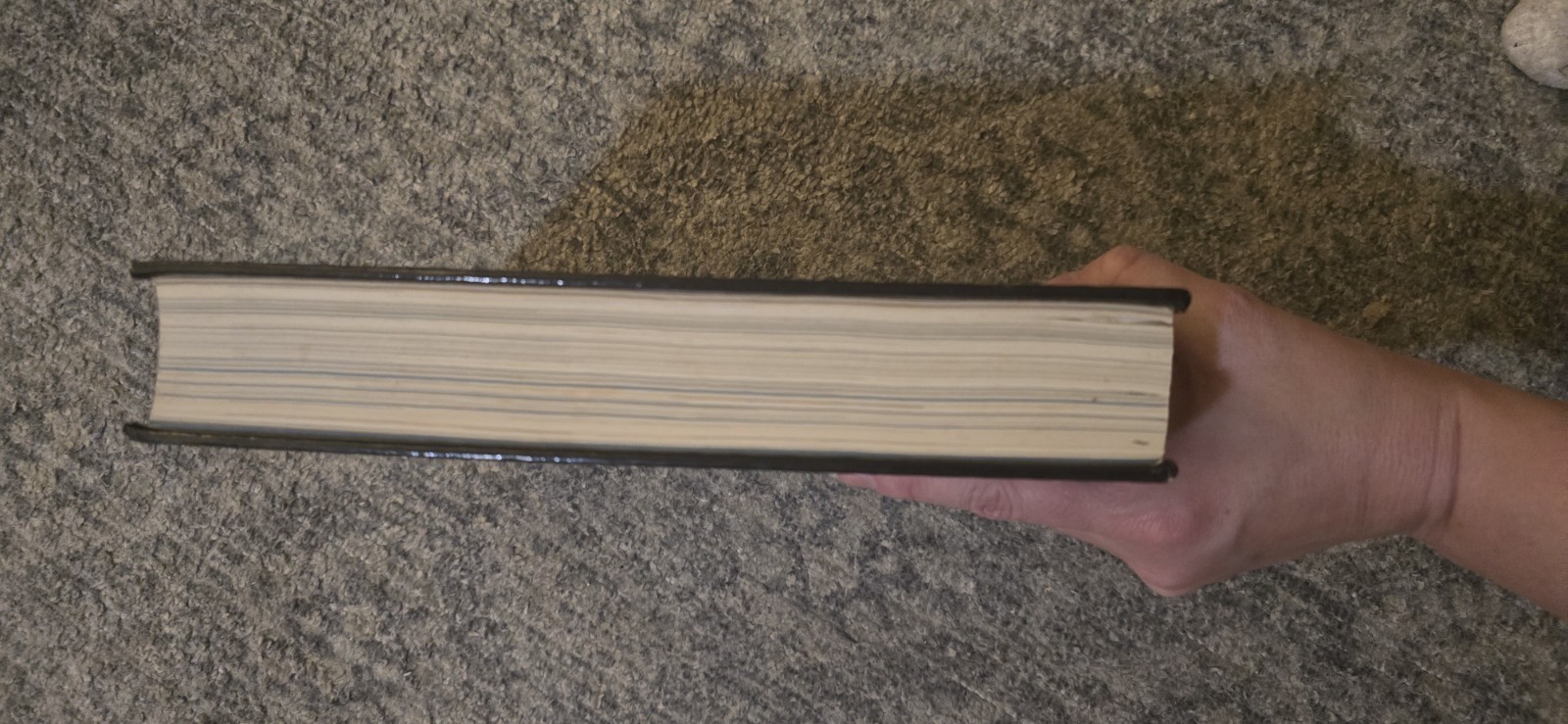 College Physics 3rd Edition Serway Faughn Hardcover Saunders Golden Sunburst