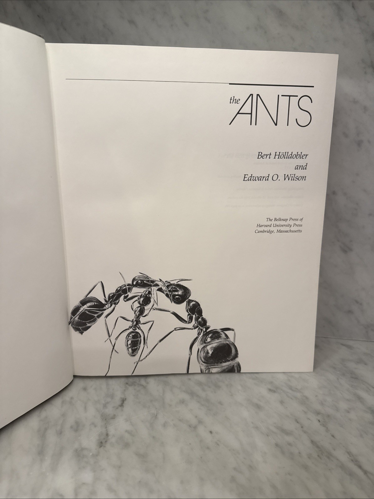 The Ants – Hölldobler & Wilson Hardcover 1990 1st Edition 1st Printing